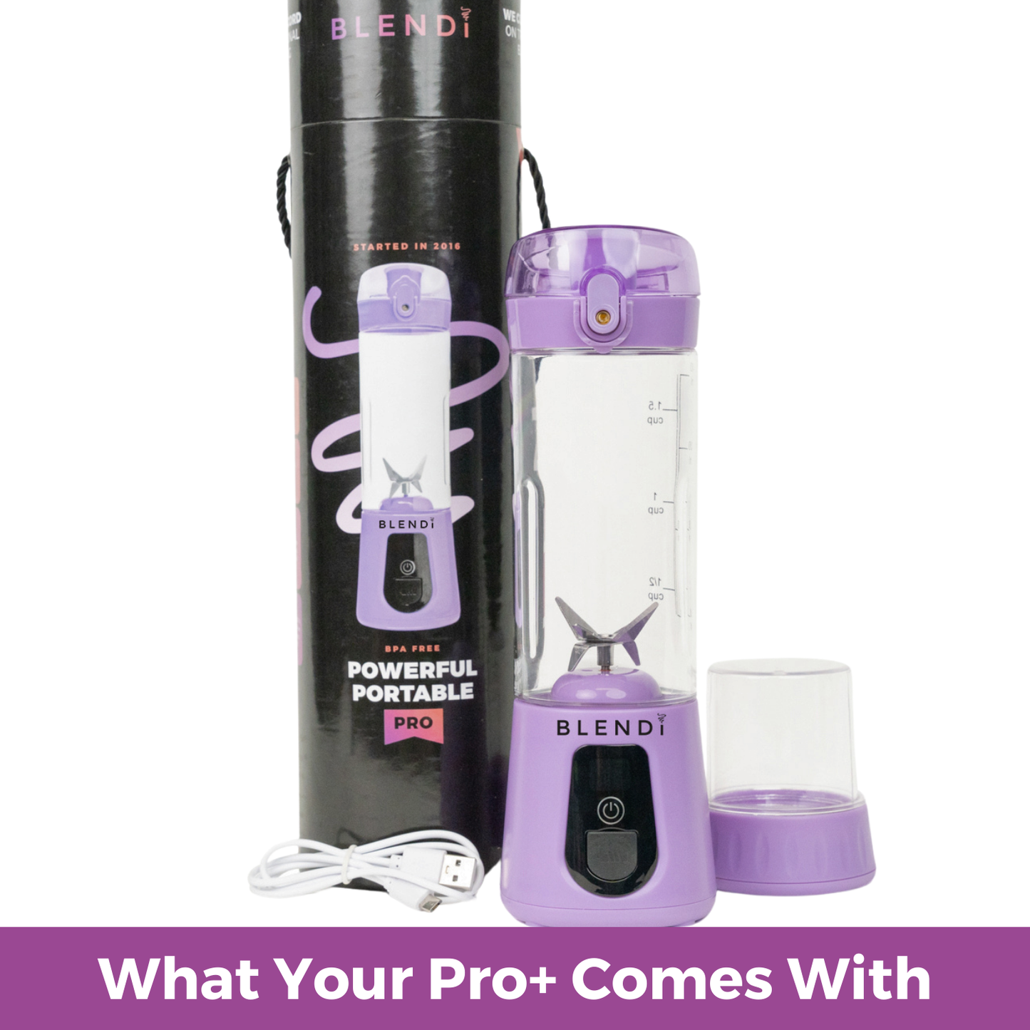 BLENDi Pro+ Portable Blender - 17 oz